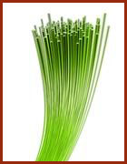 fibra ottica fibra ottica